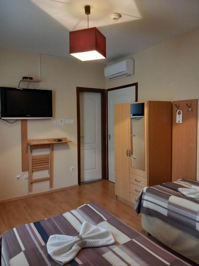 Hotel Kata Panzio à Oroszlány Extérieur photo