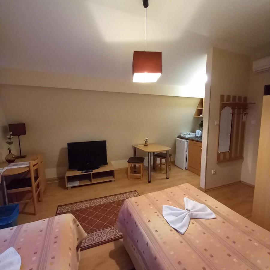 Hotel Kata Panzio à Oroszlány Extérieur photo